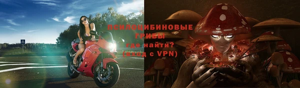 тгк Алексеевка