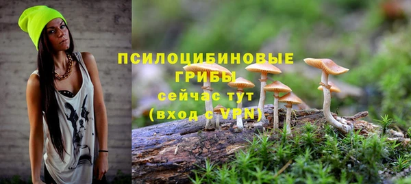 прущий лед Покровск