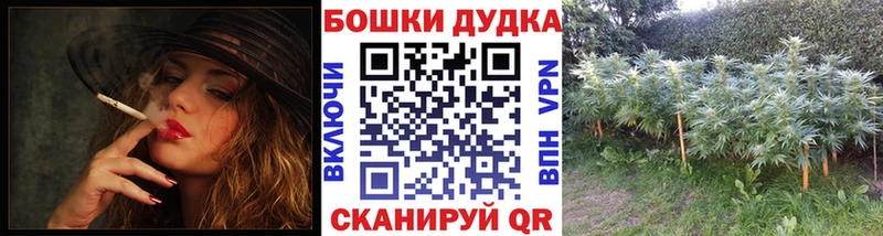 Канабис конопля  что такое наркотик  KRAKEN как войти  Шахунья 